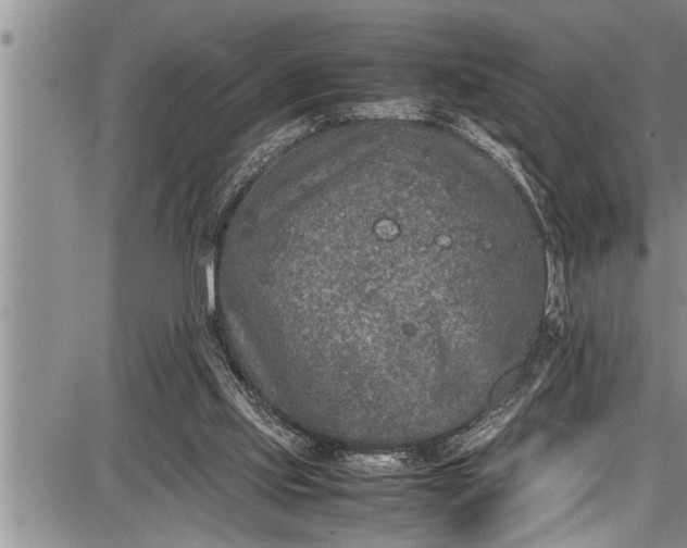 X0000087640061200705181536