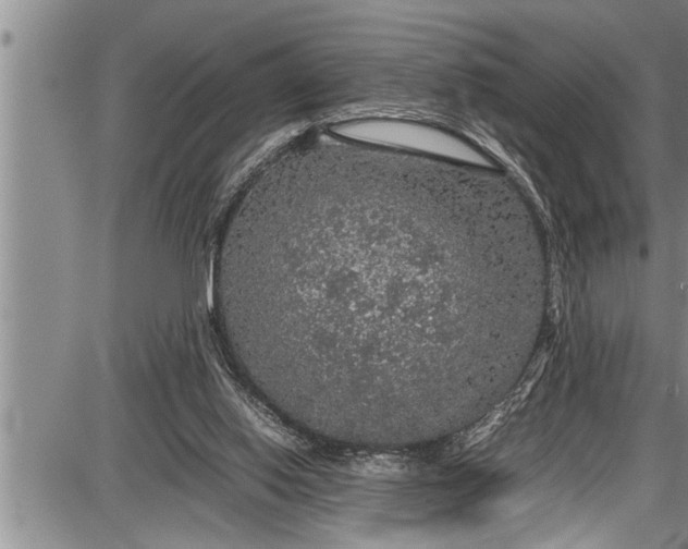 X0000087640062200705181536