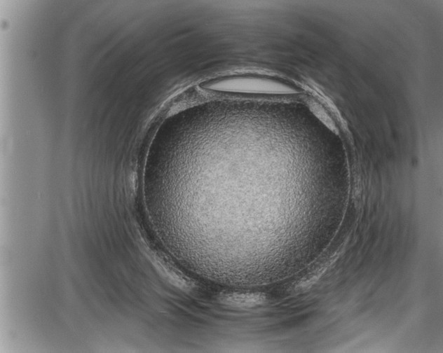 X0000087640063200705181536