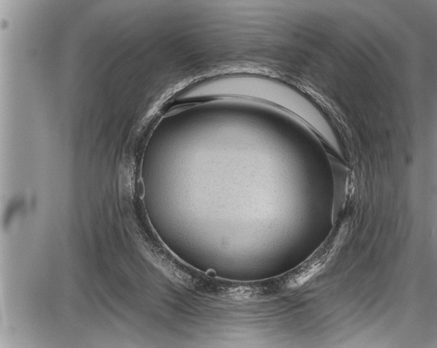 X0000087640064200705181536