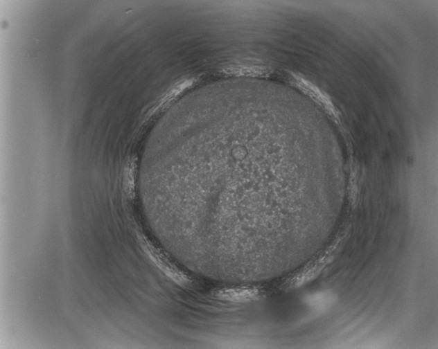 X0000087640065200705181536