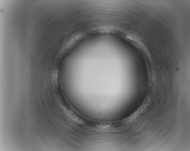 X0000087640066200705181536