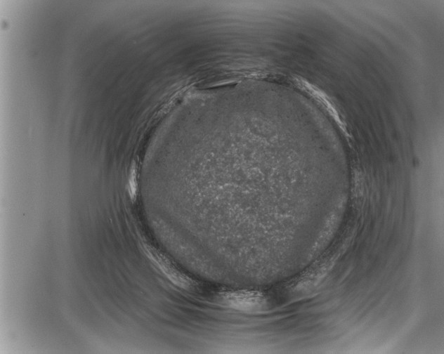 X0000087640069200705181536