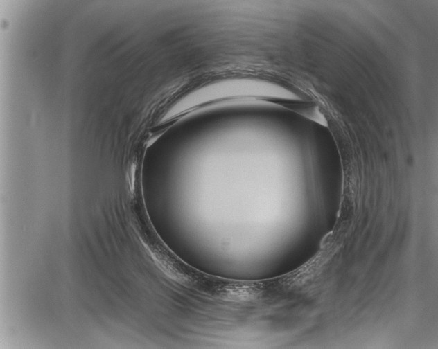 X0000087640070200705181536