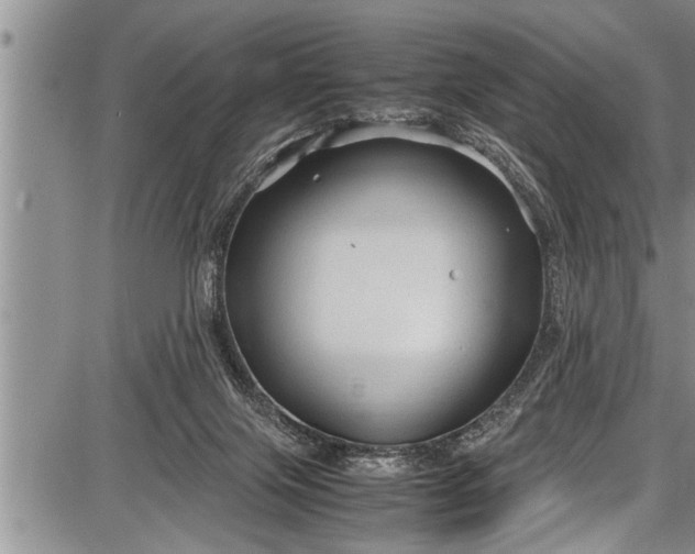 X0000087640071200705181536