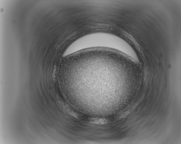 X0000087640073200705181536