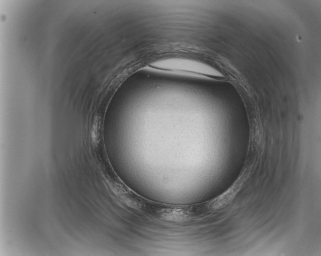 X0000087640074200705181536