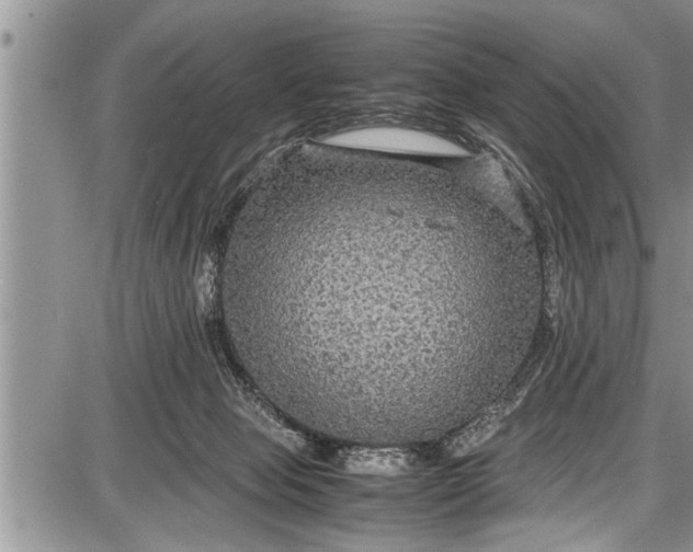 X0000087640077200705181536