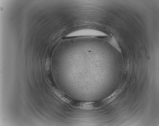 X0000087640078200705181536