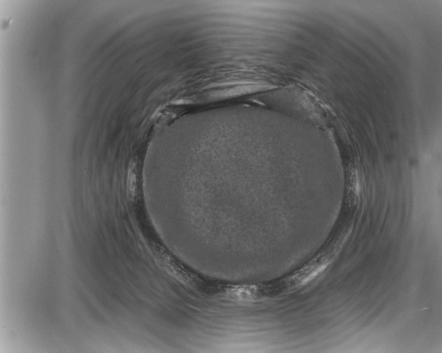 X0000087640080200705181536