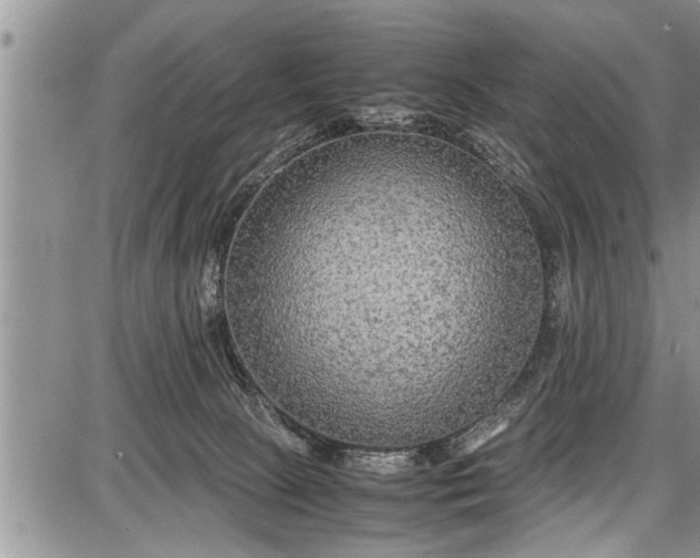 X0000087640081200705181536