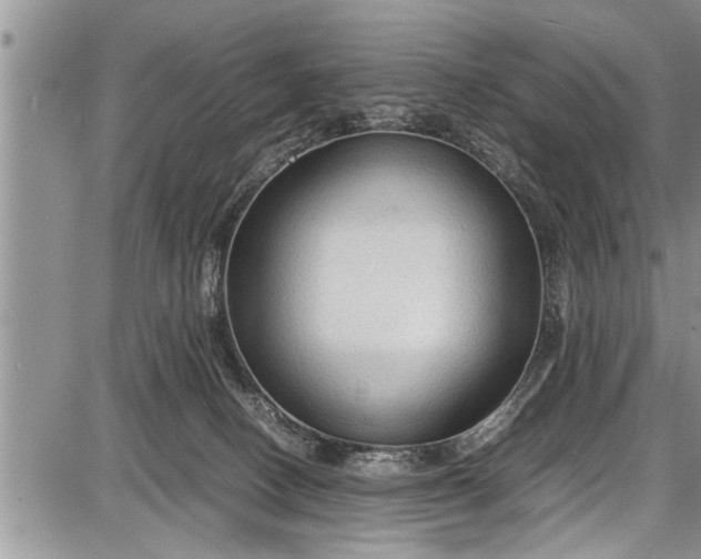 X0000087640082200705181536