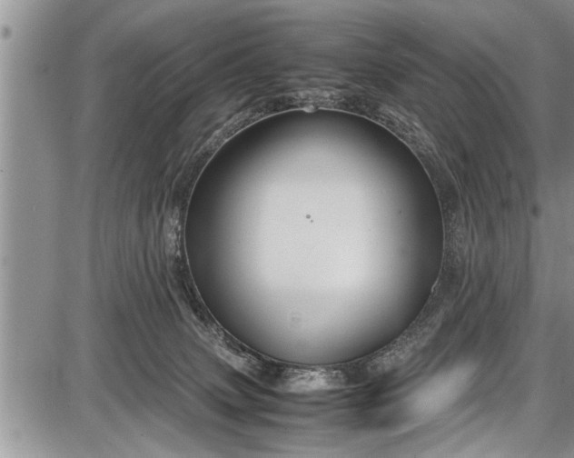 X0000087640083200705181536