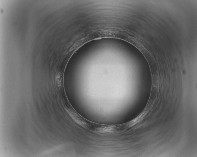 X0000087640086200705181536