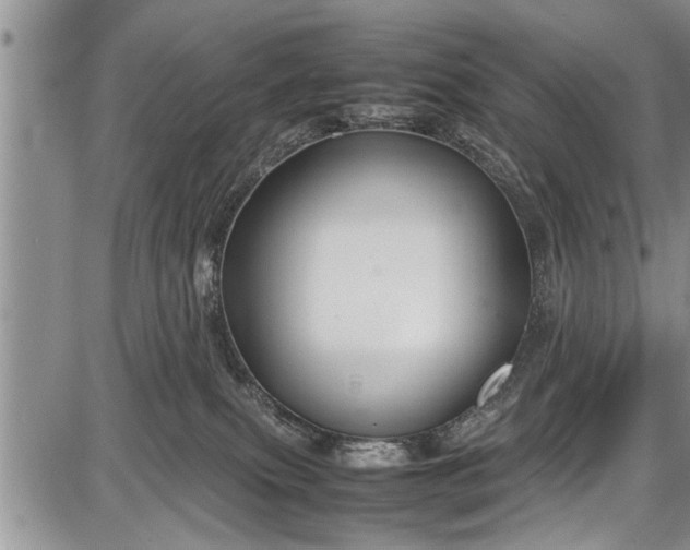 X0000087640087200705181536