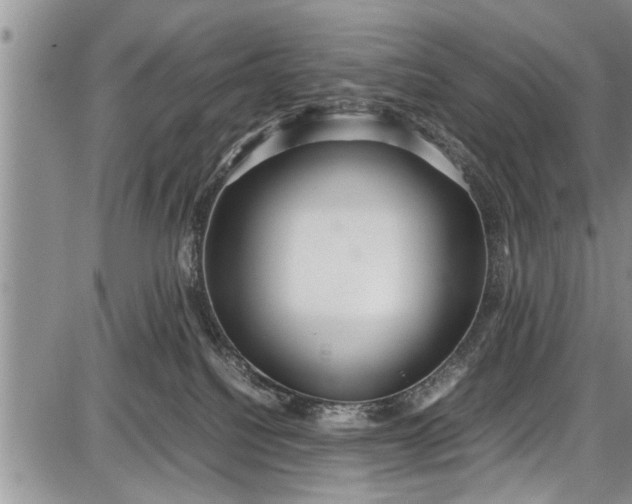 X0000087640088200705181536