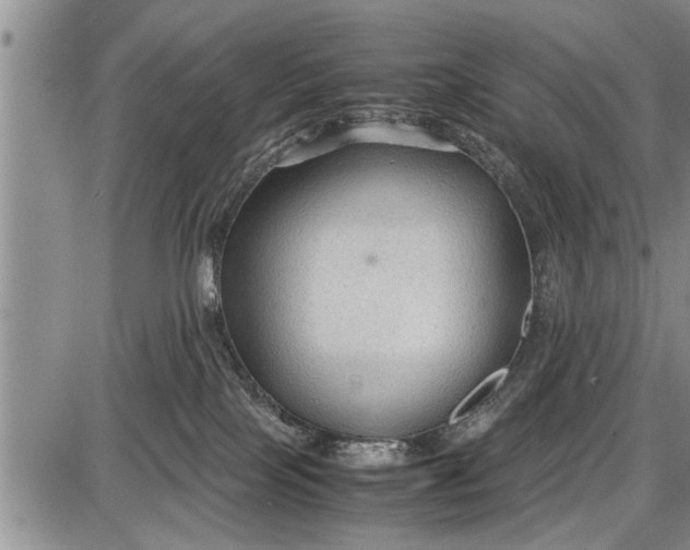 X0000087640089200705181536