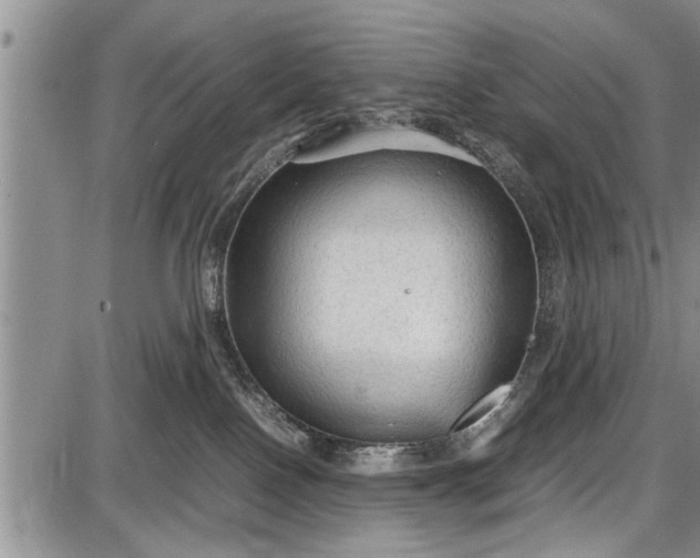 X0000087640090200705181536