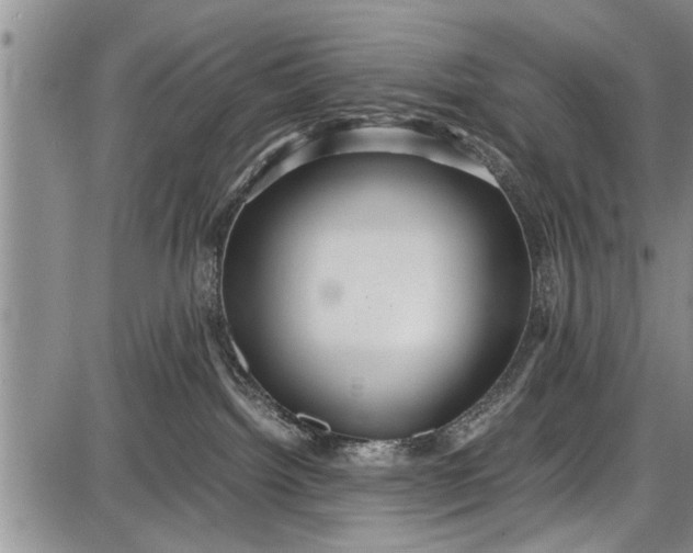 X0000087640092200705181536