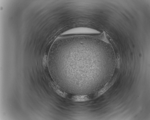 X0000087640093200705181536