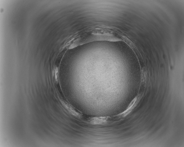 X0000087640094200705181536