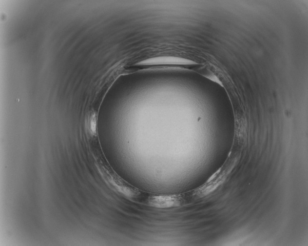 X0000087640095200705181536