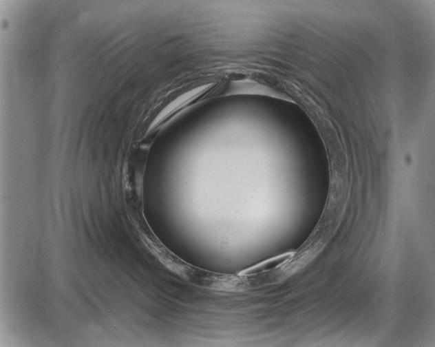 X0000087640096200705181536