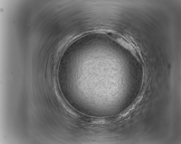 X0000087640097200705181535