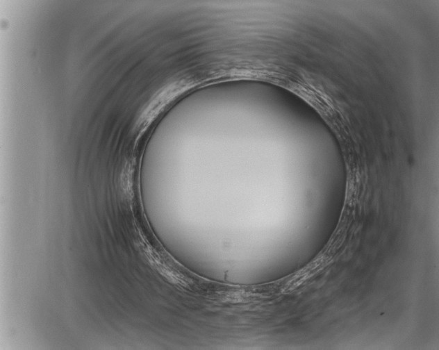 X0000087640098200705181535