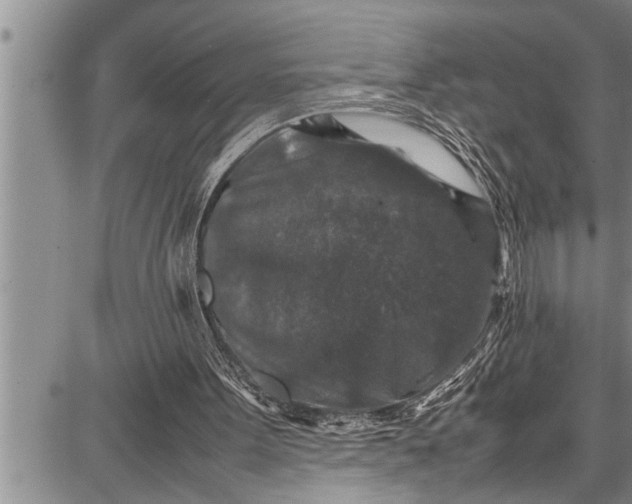 X0000087640099200705181535