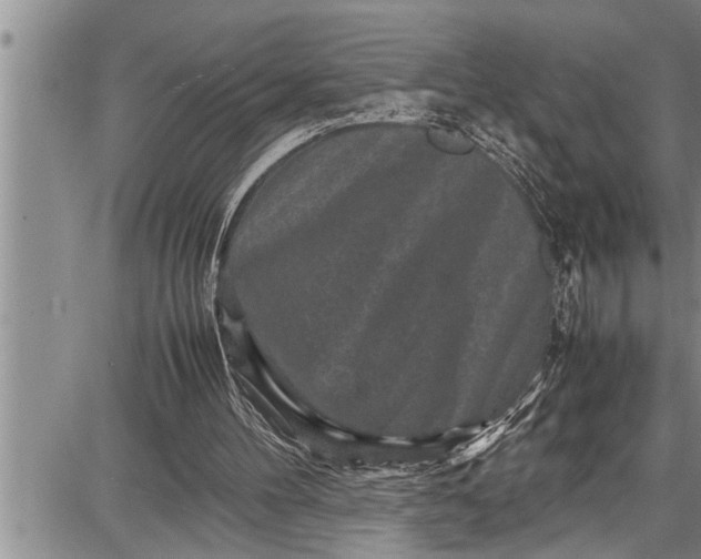 X0000087640100200705181535