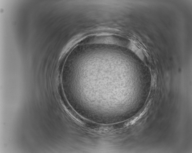 X0000087640101200705181535