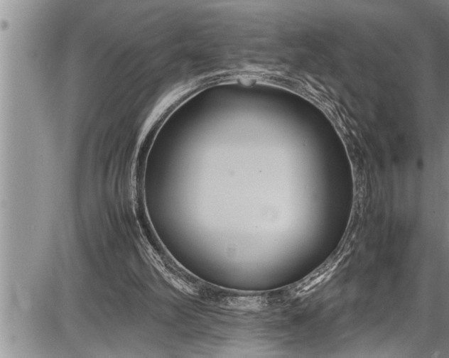 X0000087640102200705181535