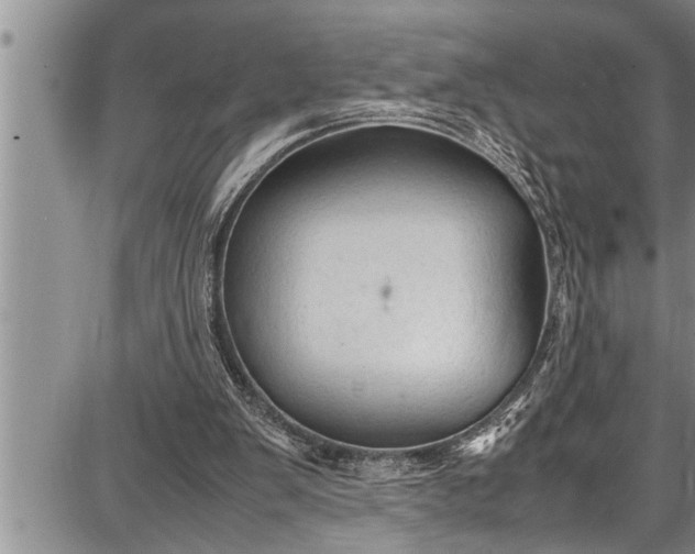 X0000087640103200705181535