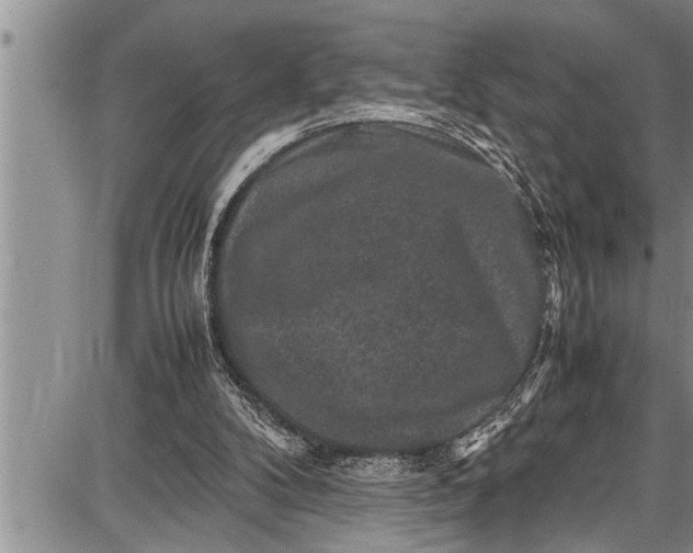 X0000087640104200705181535