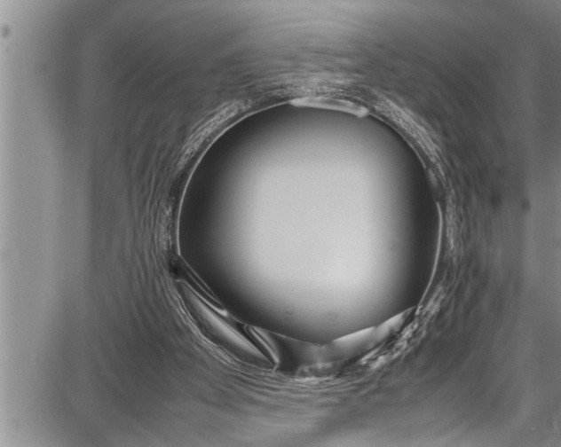 X0000087640105200705181535