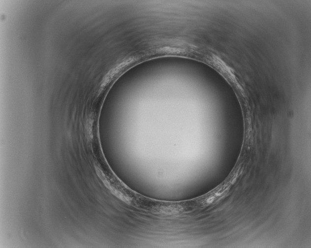 X0000087640106200705181535