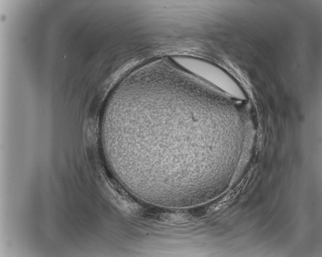 X0000087640107200705181535