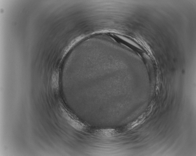 X0000087640108200705181535