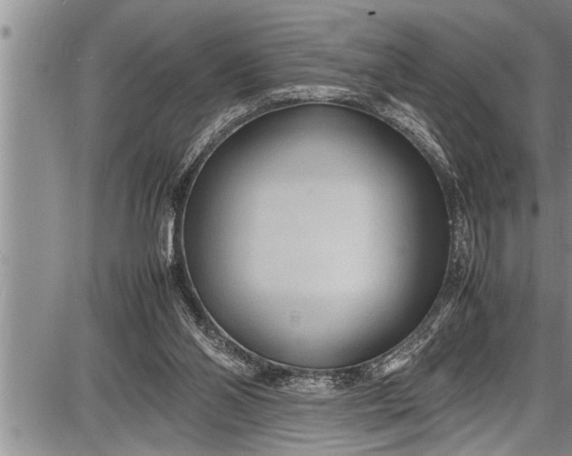 X0000087640110200705181535