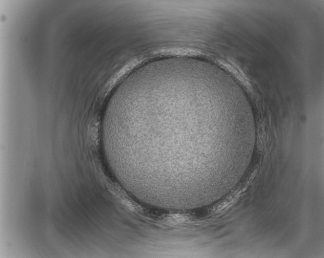 X0000087640111200705181535