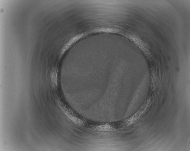 X0000087640112200705181535