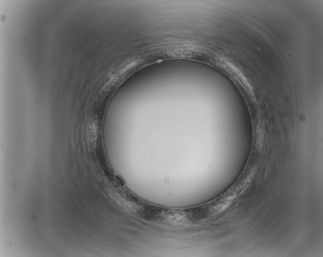 X0000087640113200705181535