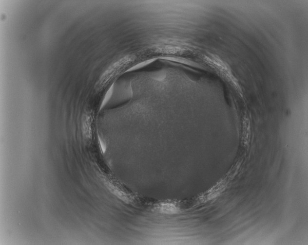 X0000087640114200705181535