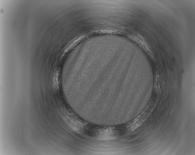 X0000087640116200705181535