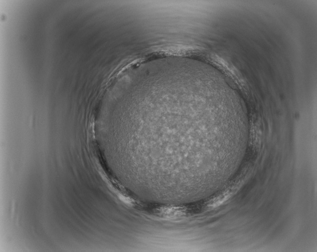 X0000087640117200705181535