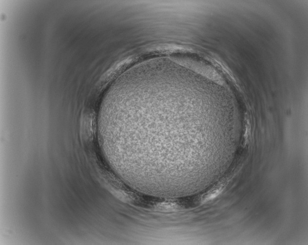 X0000087640119200705181535