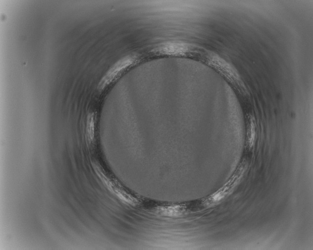 X0000087640120200705181535