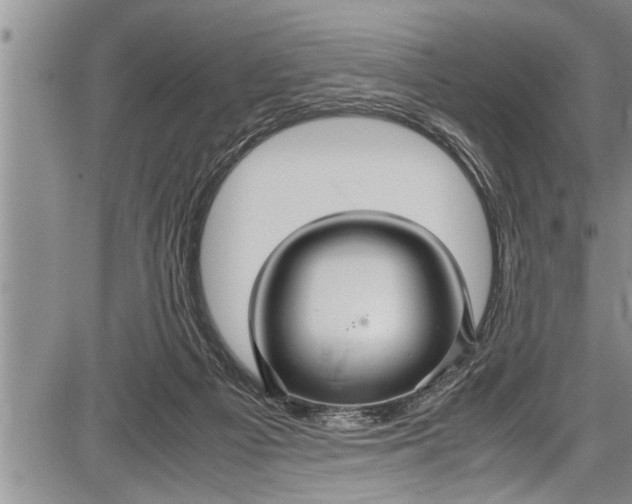 X0000087640121200705181535