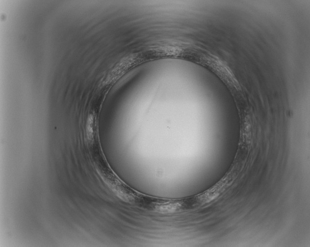 X0000087640122200705181535